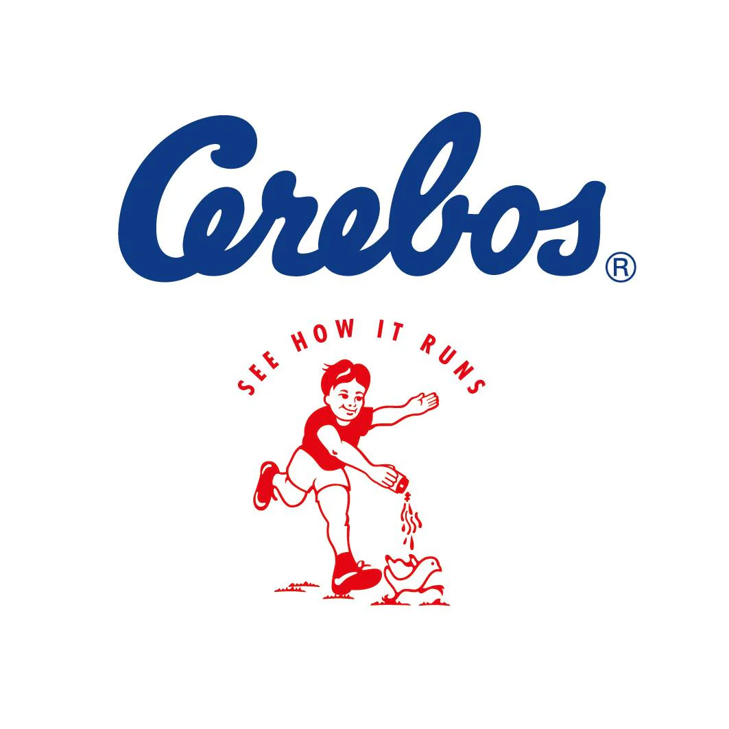 Cerebos Braai Salt - Image 2