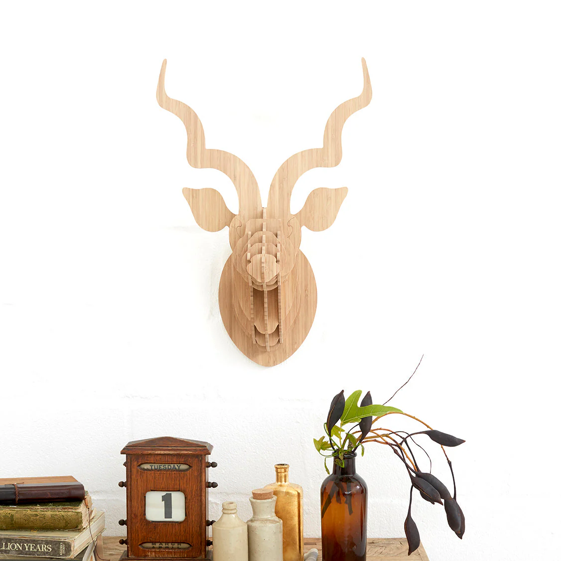 Kudu Trophy Head in Bamboo - Image 4